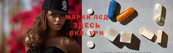 spice Инта