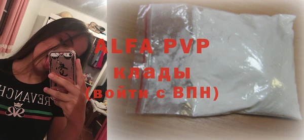 spice Инта