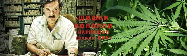 гидра Кулебаки