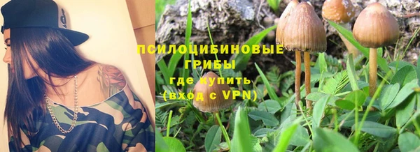 гашик Кукмор
