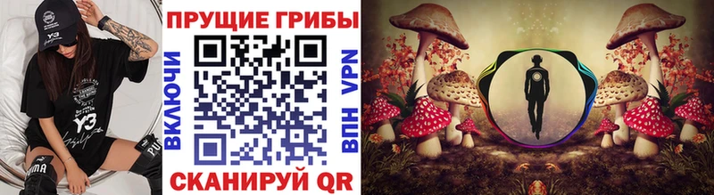 Галлюциногенные грибы GOLDEN TEACHER  Купить закладки  Бирюсинск 
